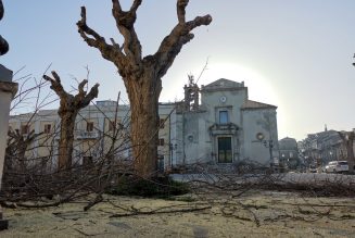 FINALMENTE SI POTANO GLI ALBERI IN PIAZZA