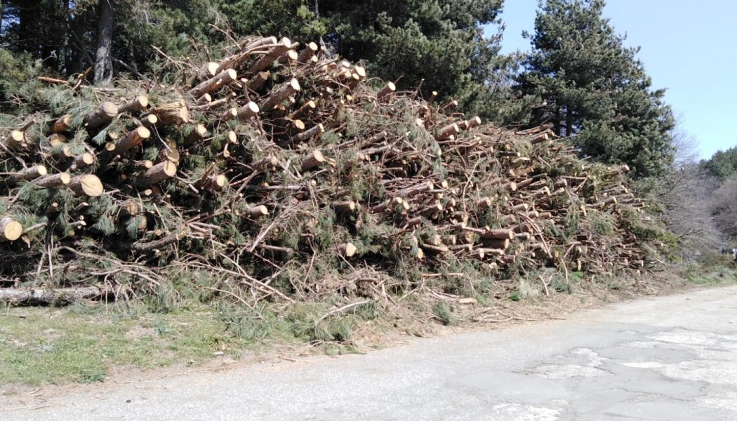 DANNI AMBIENTALI SUL NOSTRO TERRITORIO