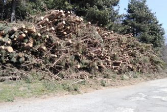 DANNI AMBIENTALI SUL NOSTRO TERRITORIO