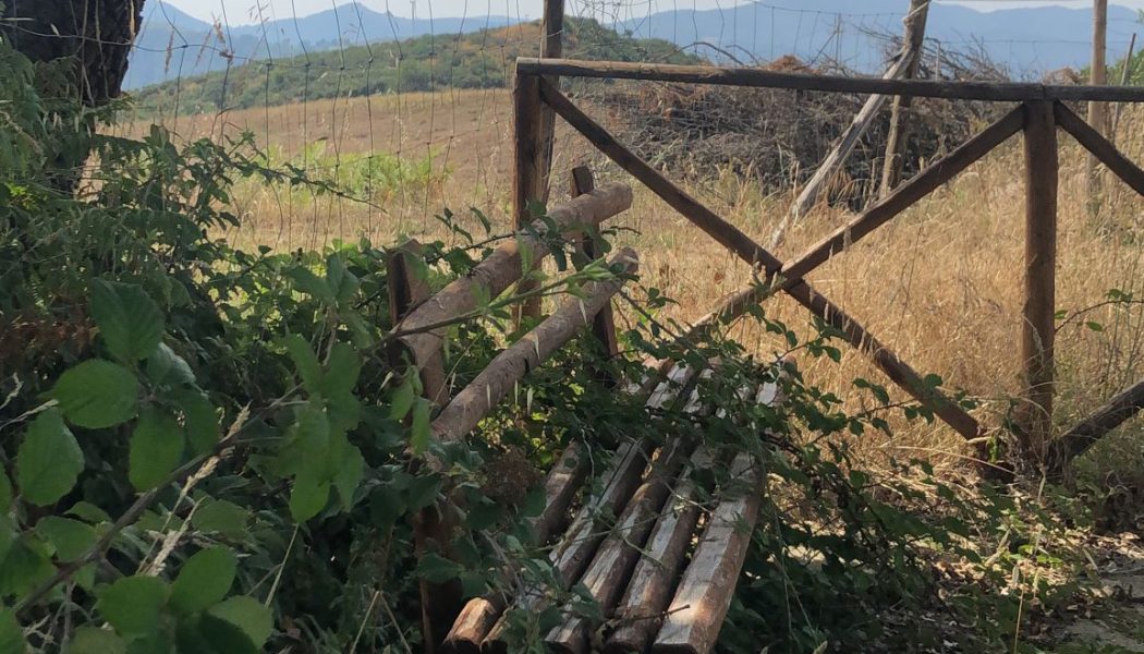 PISTA PEDO-CICLABILE IN DISSESTO ANCORA PRIMA DELL’INAUGURAZIONE