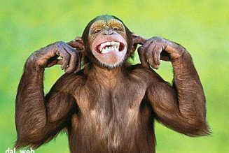 VITTIME DELL’IGNORANZA