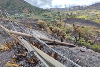 Il dopo incendi: disperati e soli.