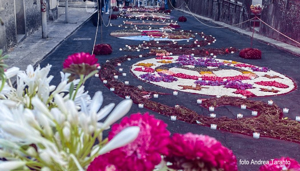 INFIORATA DI BRAIDI, UN SUCCESSO ANNUNCIATO