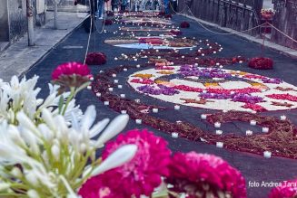 INFIORATA DI BRAIDI, UN SUCCESSO ANNUNCIATO